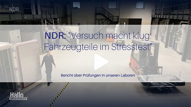 NDR-Beitrag